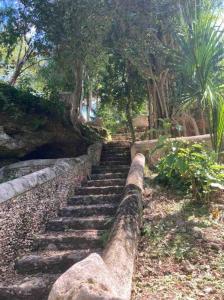 Tepich Casa en hacienda con cenote en la selva maya