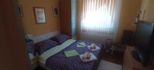 Apartments with a parking space Krasica, Rijeka - 23488 