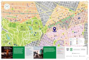 Cozumel Mix, Modern&Classic