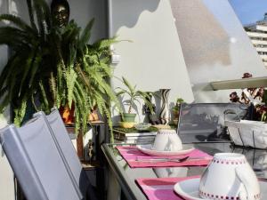 Appartement pieds dans leau: 2 pièces, grande terrasse, climatisation, Villeneuve-Loubet - FR-1-252A-127