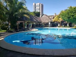 Vintage en Hotel Buganvillas - Сентро