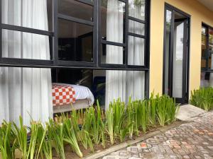 Sandy golden house