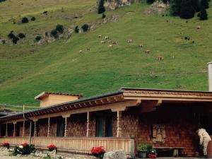 Binsalm- Schutzhütte