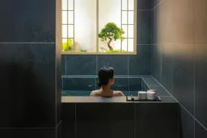 AanK Hotel & Spa Pyeongtaek - 平泽市
