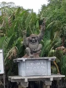 Cakrawala Borneo Tour speedboat - 庞卡兰布翁
