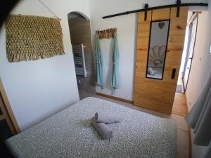 Maisons de vacances Gite de charme SPA privatif L'oustau di Tonin : Maison 1 Chambre