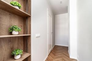 Exclusive apartment in city center plus free parking