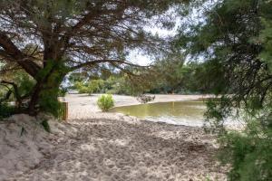 Chalets Chalet du bassin d-Arcachon N°15 : Chalet 2 Chambres