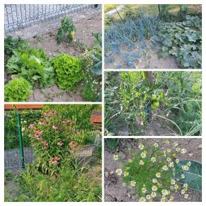 Apartma PRI AJHECI
