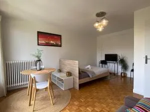 T1 près de Paris Wifi/Netflix/Parking/Balcon - 安东尼