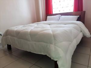 Nancys Loft Fast Internet with Work Space,South B