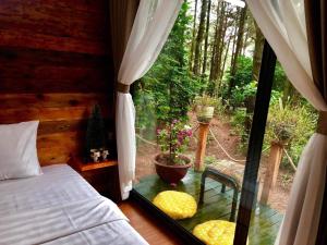 Pine Hill Villas & Camping