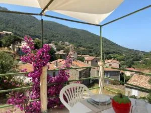 Appartement avec terrasse et vue mer - Sari-dʼOrcino