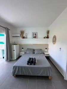 Studio Kaz' Coco - Retz