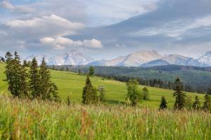 mc82 - Anna i Marek Łukaszczyk