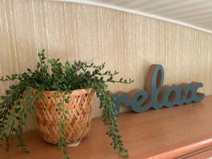 Camperliepaja close by the beach