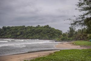 Talpona Beach Studios
