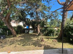 Maisons de vacances Maison familiale proche de Varaville avec jardin clos et terrasse : photos des chambres