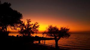 Happy Camp mobile homes in Camping La Vecchia Torre