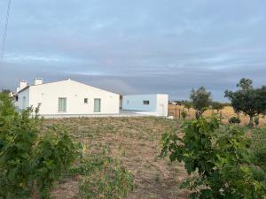 Casas SaoMiguel33