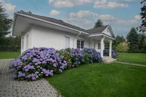 Biały Dom - Rozewie