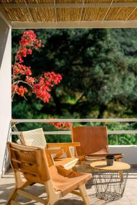 Villa Mila with private pool by Olivestone Village