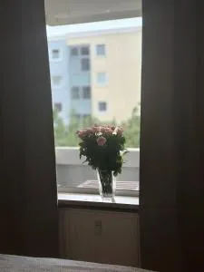 Möblierte Wohnung - Laatzen