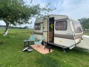 Vintage caravan in old orchard at farm Huize Blokland - Zwaagdijk-Oost