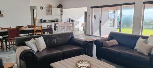 Klipvis at Duykereiland