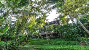 5 Bed Serenity in the Hills of Ubud