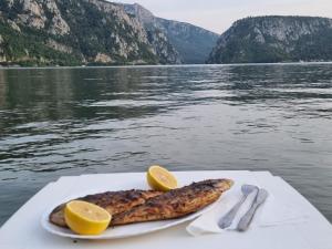 Casa Victor Cazanele Dunarii