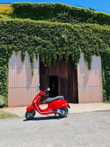 Ciao Iglesias 2 img13