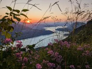 The Mountain Nest - La Pirraz