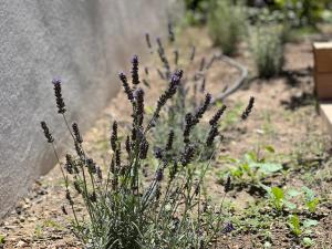 Une nuit en Luberon et SPA