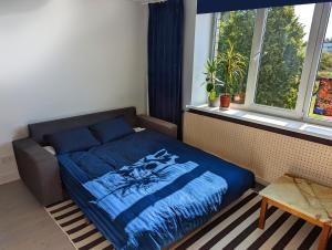 Lost & Found 3 - with 4 bikes