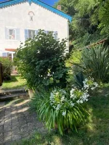 Les Agapanthes - Salles-Arbuissonnas