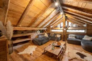Chalet Grand Cru 14 pers-Abondance - Abondance