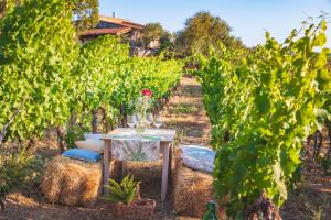 Hotel Ristorante S'Astore img36