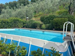 La cicala sulle colline della Versilia, con piscina