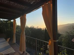 La cicala sulle colline della Versilia, con piscina