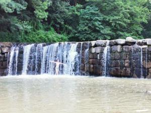 Piscine privative le champ des oiseaux