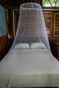 Flutterby House Hostel