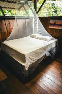 Flutterby House Hostel