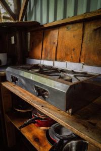 Flutterby House Hostel