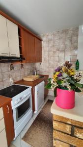 Apartman Centar Bar
