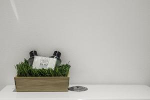 Upper Rock Brighton – Guest House