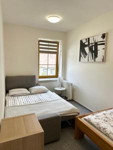 Apartmán na sjezdovce