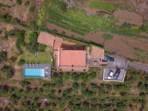 Giardino degli Avocadi