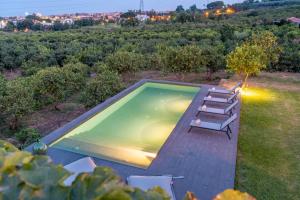 Giardino degli Avocadi