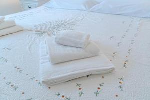 Lingotto District Functional Apartment